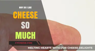 The Irresistible Charm of Cheese: Unraveling My Cheesy Obsession