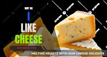 Cheese: My Favorite Food and Why