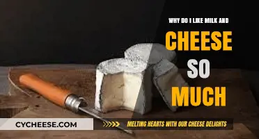 The Irresistible Appeal of Milk and Cheese: My Dairy Delight