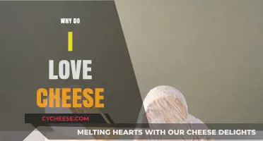 Why Cheese Captures My Heart: A Delicious Love Story