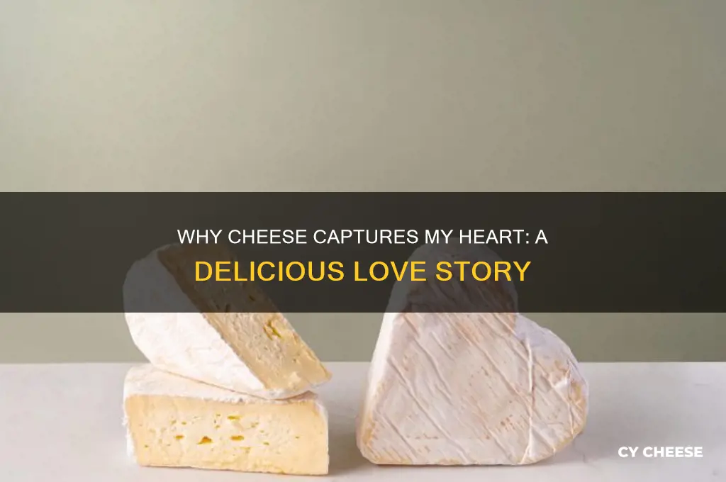 why do i love cheese