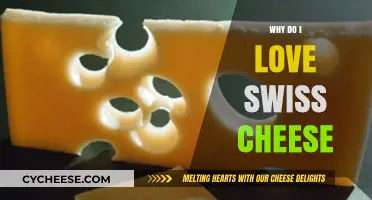 Swiss Cheese: My Favorite Hole-y Treat