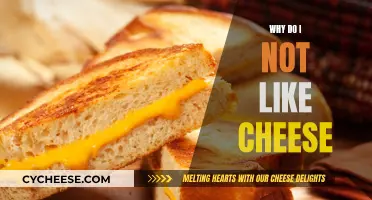 Cheese Aversion: Personal Taste or Something More?