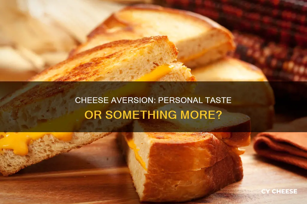 why do i not like cheese