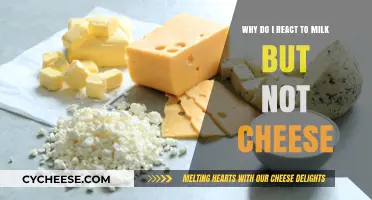 Milk Sensitivity vs. Cheese Tolerance: Unraveling the Dairy Dilemma