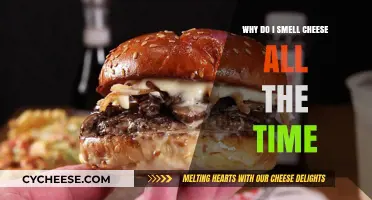 Phantom Cheese Smell: Causes and Solutions for Persistent Cheese Odor