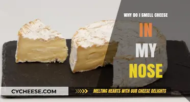 Why Do I Smell Cheese in My Nose? Causes and Solutions