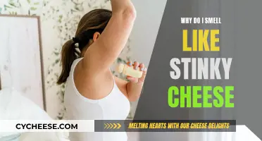 Stinky Cheese Odor: Why Do I Smell So Bad?