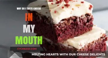 Why Do I Taste Cheese in My Mouth? Unraveling the Mystery