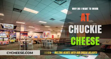 Why Chuck E. Cheese is My Dream Workplace: A Fun Career Choice
