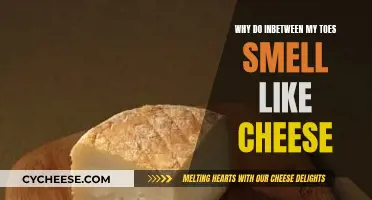Cheesy Toes: Why Do My Feet Stink Like Cheese?