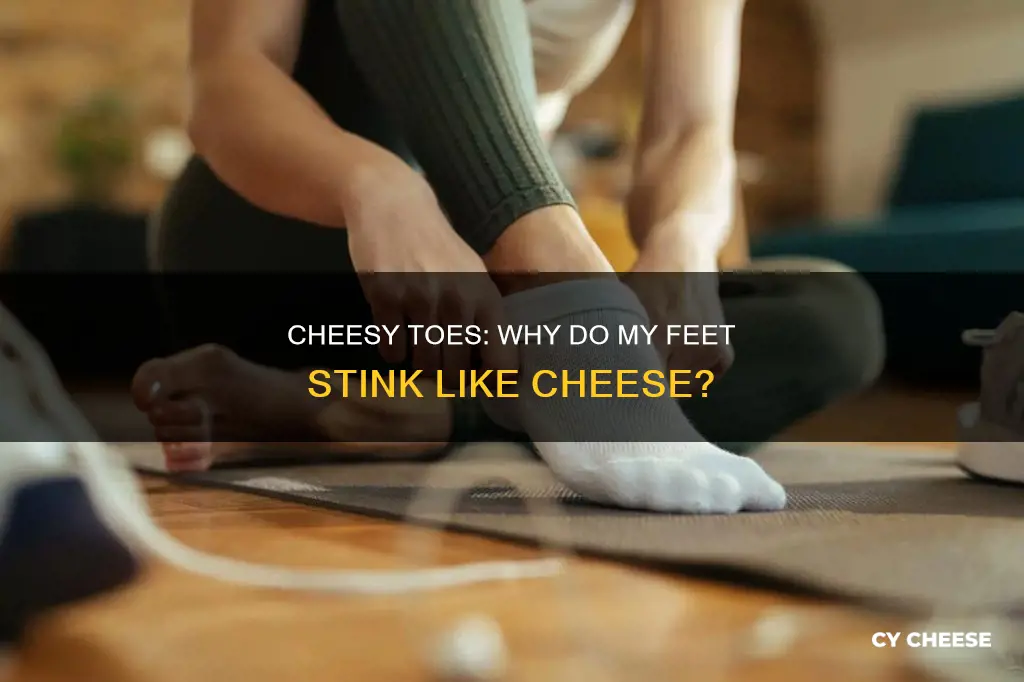 why do inbetween my toes smell like cheese