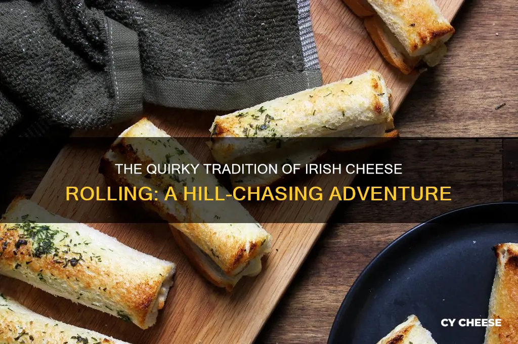 why do irish people chase cheese down a hill