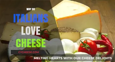 Italy's Cheesy Affair: Exploring Italians' Timeless Love for Cheese