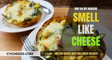 The Mystery of Cheesy Boogers: Why the Strange Odor?