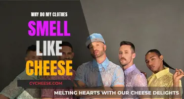 Cheesy Clothes: The Science Behind the Smell
