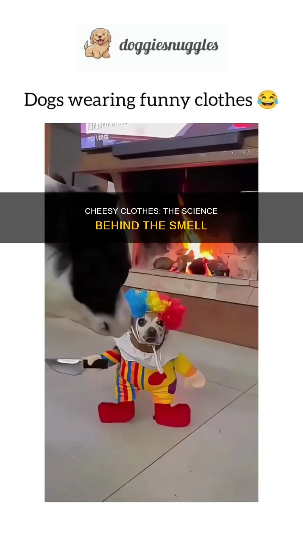 why do my clothes smell like cheese