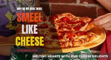 Cheesy Odor: Dish Towel Conundrum