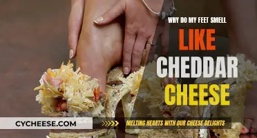 Unraveling the Mystery: Why Your Feet Smell Like Cheddar Cheese