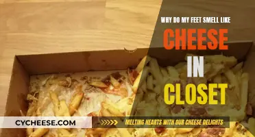 Cheesy Feet: Closet Conundrum Solved