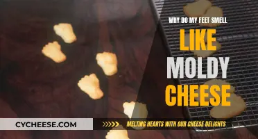 The Mystery of Moldy Cheese Feet Revealed