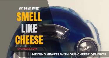 Unraveling the Mystery of Cheesy-Smelling Gauges