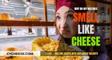 The Nostril Conundrum: Why Do I Smell Cheese?