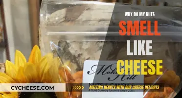 The Pungent Mystery of Cheesy-Smelling Nuts
