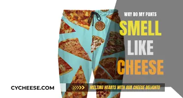 The Mystery of Cheesy-Smelling Pants: A Trouser Odor Guide