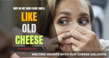 The Mystery of Cheesy Skin Folds: Why the Odor?