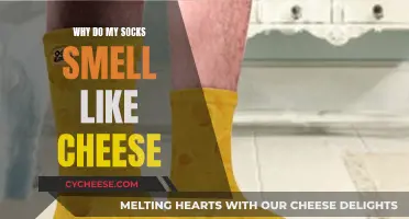 The Mystery of Cheesy Socks: A Stinky Enigma