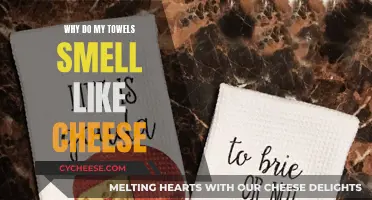 Unraveling the Mystery of Cheesy-Smelling Towels
