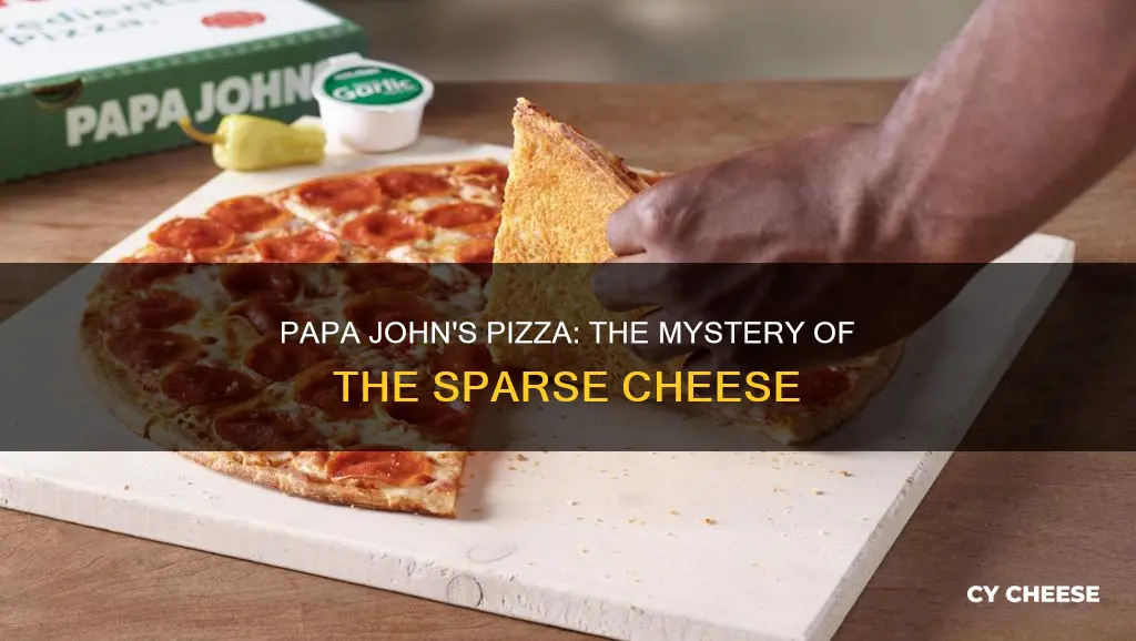 why do papa john