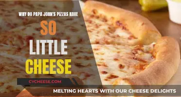 Papa John's Pizza: Why So Stingy With the Cheese?