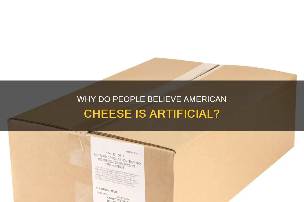 why do peopel think america has fake cheese
