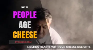 The Art of Aging Cheese: Unlocking Flavor Through Time and Tradition