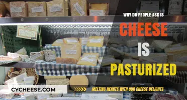 Is Cheese Pasteurized? Understanding the Health and Safety Concerns