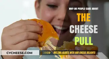The Irresistible Cheese Pull: Why It Captivates Food Lovers Everywhere