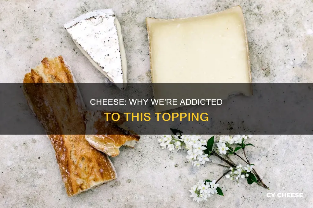 why do people feel compelled to put cheese on everything