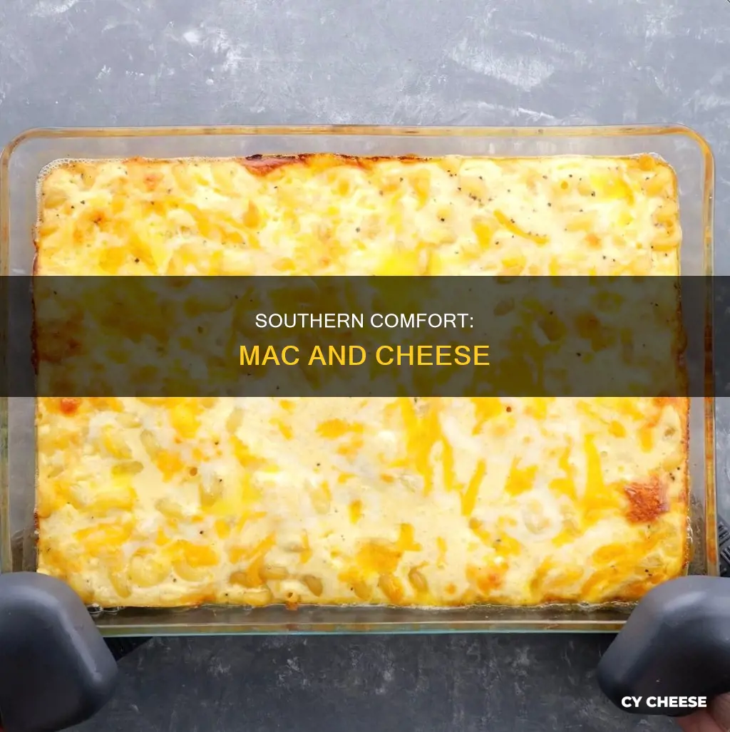 why do people in the south love macaroni and cheese