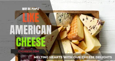 American Cheese: Why the Melty, Salty Favorite Endures