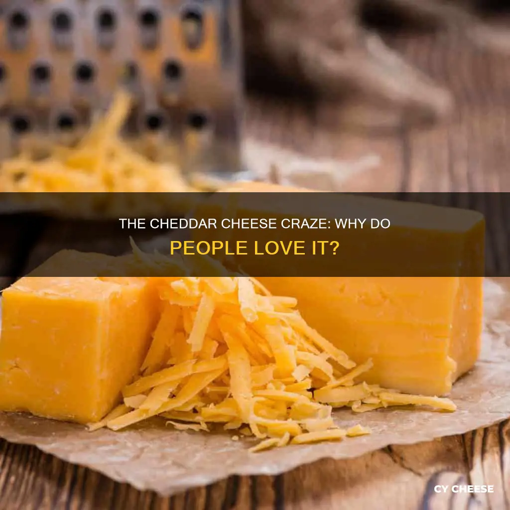 why do people like cheddar cheese