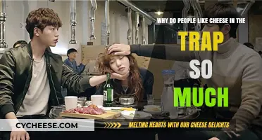 Why Cheese in the Trap Captivates Fans Worldwide: A Deep Dive