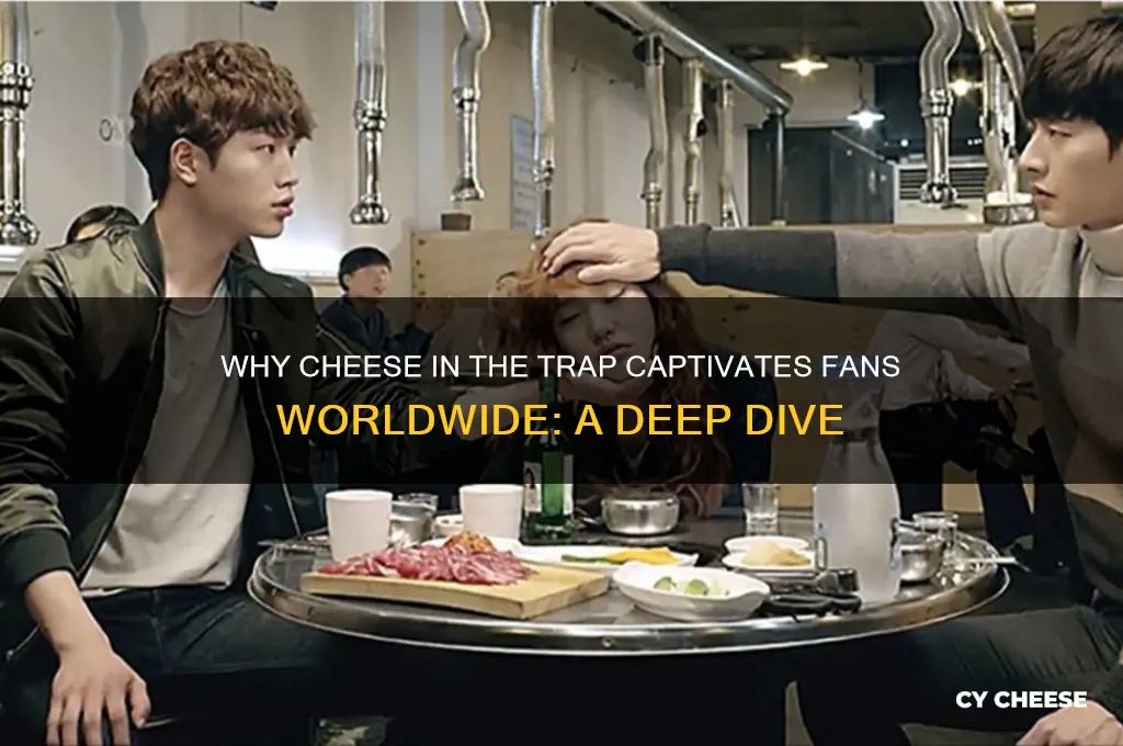 why do people like cheese in the trap so much