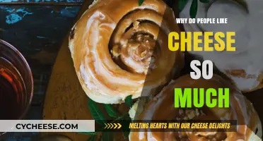 Why Cheese Captivates: Exploring the Universal Love for Cheese