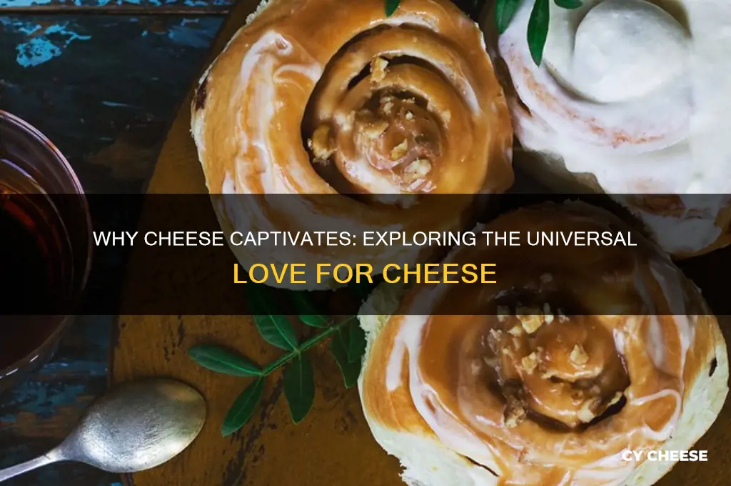 why do people like cheese so much