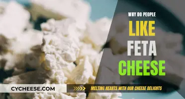 The Feta Cheese Craze: Why Do People Love It?