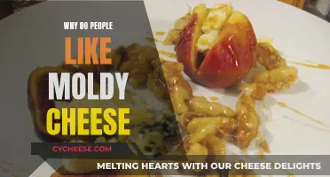 Moldy Cheese: Why Do People Enjoy This Delicacy?