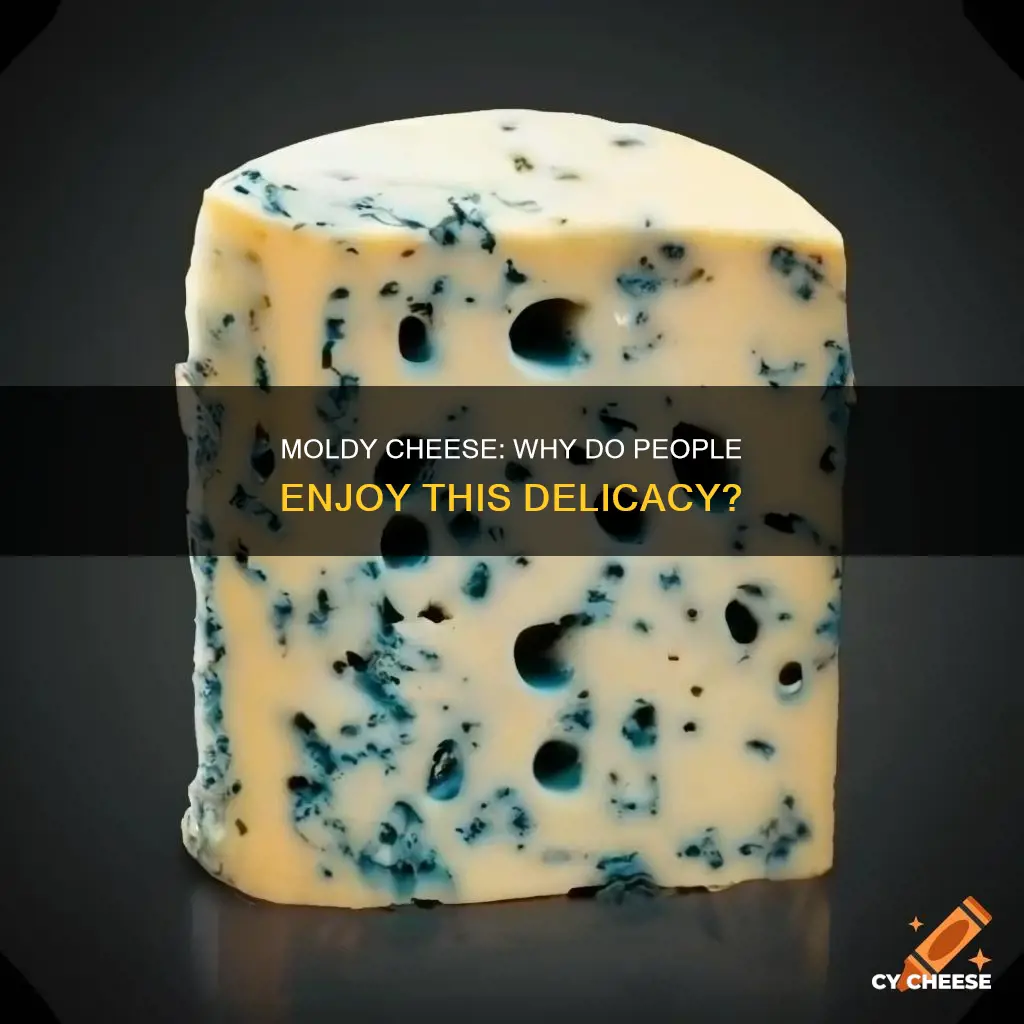 why do people like moldy cheese