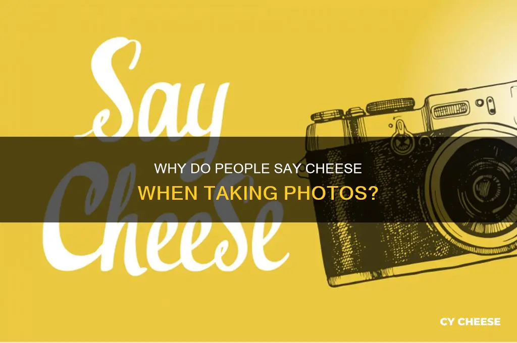 why do people say cheese